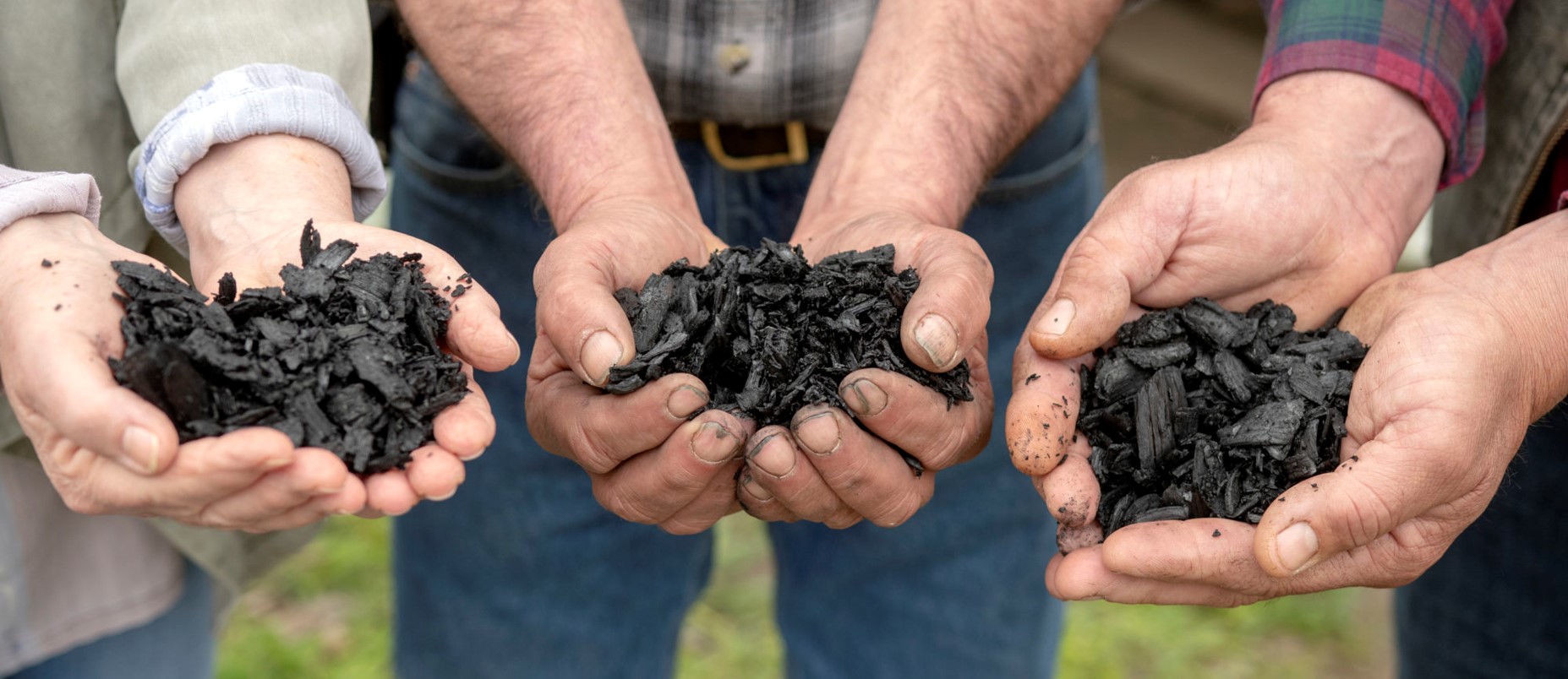 Biochar